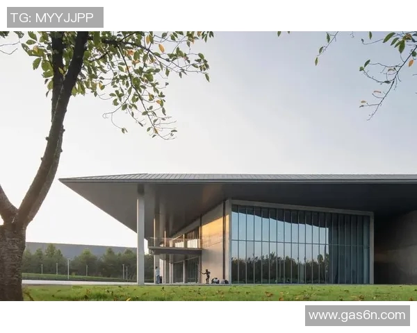 探索弗格的世界:从历史到现代的多维视角与深度解析 探索弗格的世界:从历史到现代的多维视角与深度解析