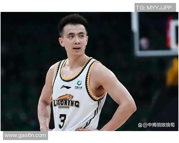 辽宁篮球明星的居住地分布及其背后的故事探秘 辽宁篮球明星的居住地分布及其背后的故事探秘